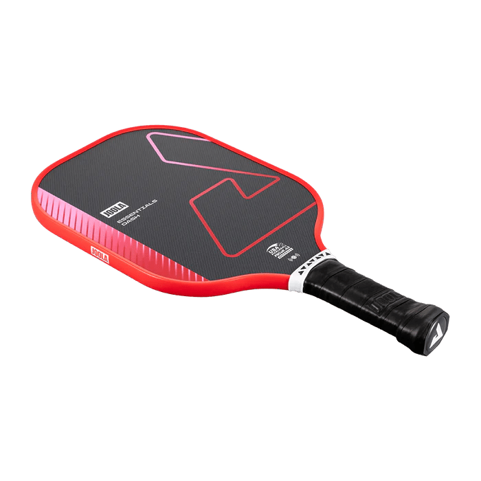 JOOLA Pickleball Set Essentials Dash - Pro Pickleball GmbH