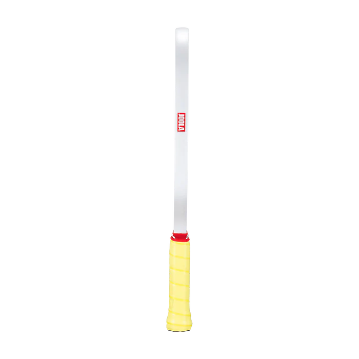 JOOLA Astral Pickleball Paddle