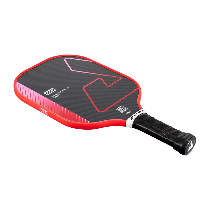JOOLA Pickleball Set Essentials Dash