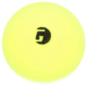 Librarian, la balle de pickleball d'intérieur silencieuse Gamma en mousse